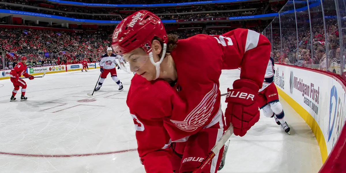 Detroit Red Wings' Moritz Seider up for Calder Trophy Tuesday