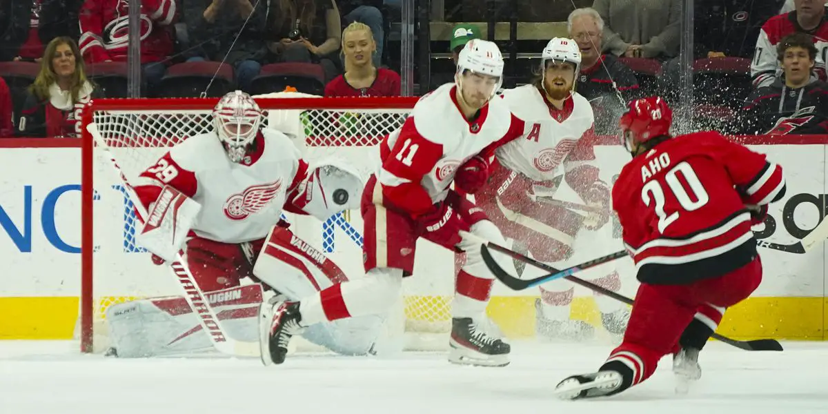 Red Wings' Alex Nedeljkovic had Carolina return 'circled on calendar' 