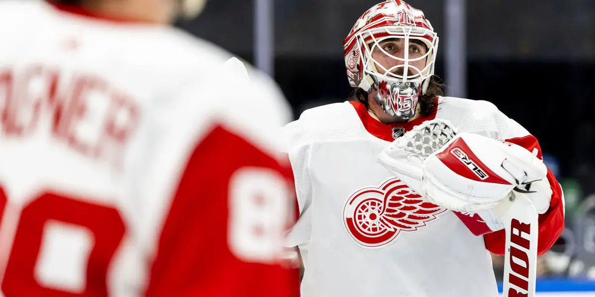 Behind Alex Nedeljkovic's New Goalie Mask 