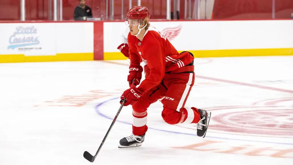 Red Wings: Top 3 Rookie Roster Candidates