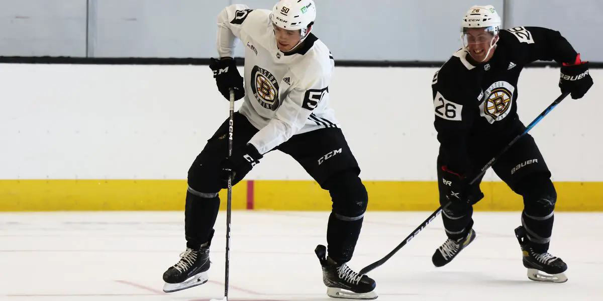 1st round pick Pastrnak is impressive on first day of Bruins development  camp