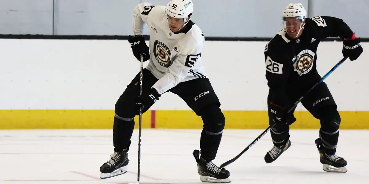 Are Pavel Zacha and Charlie Coyle ready to be the Bruins' Nos. 1 and 2  centers? - The Boston Globe