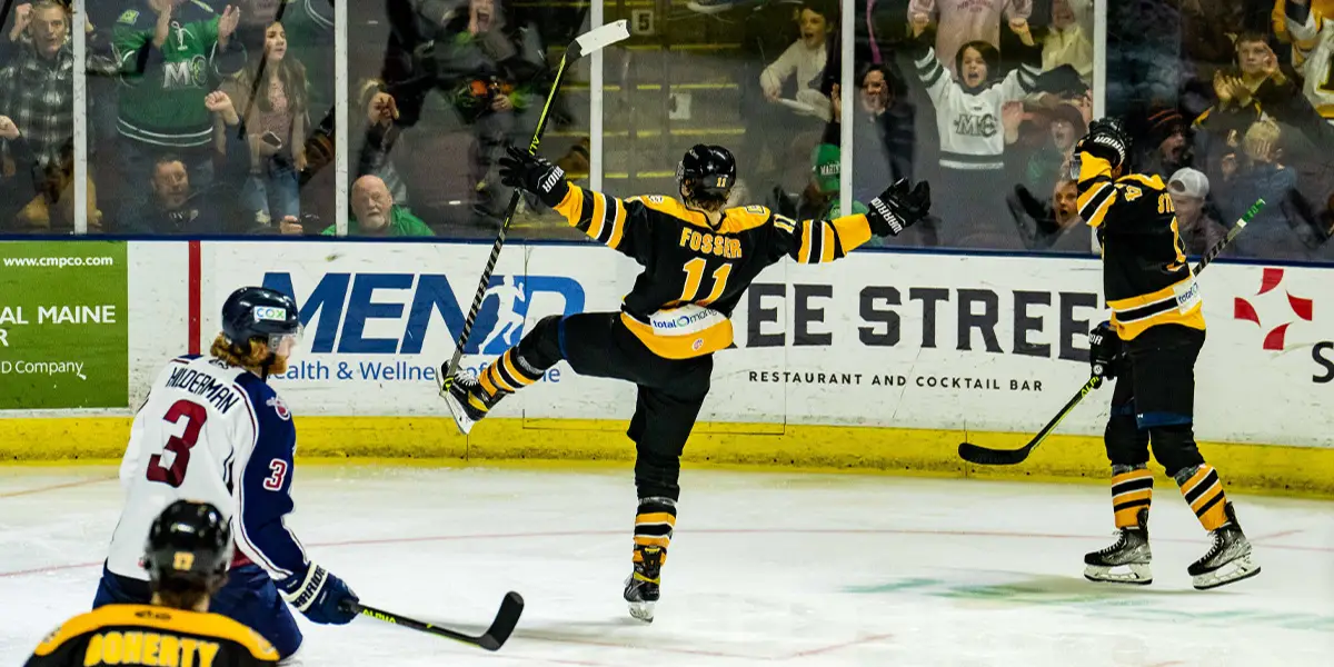Boston Bruins extend affiliation with Maine Mariners
