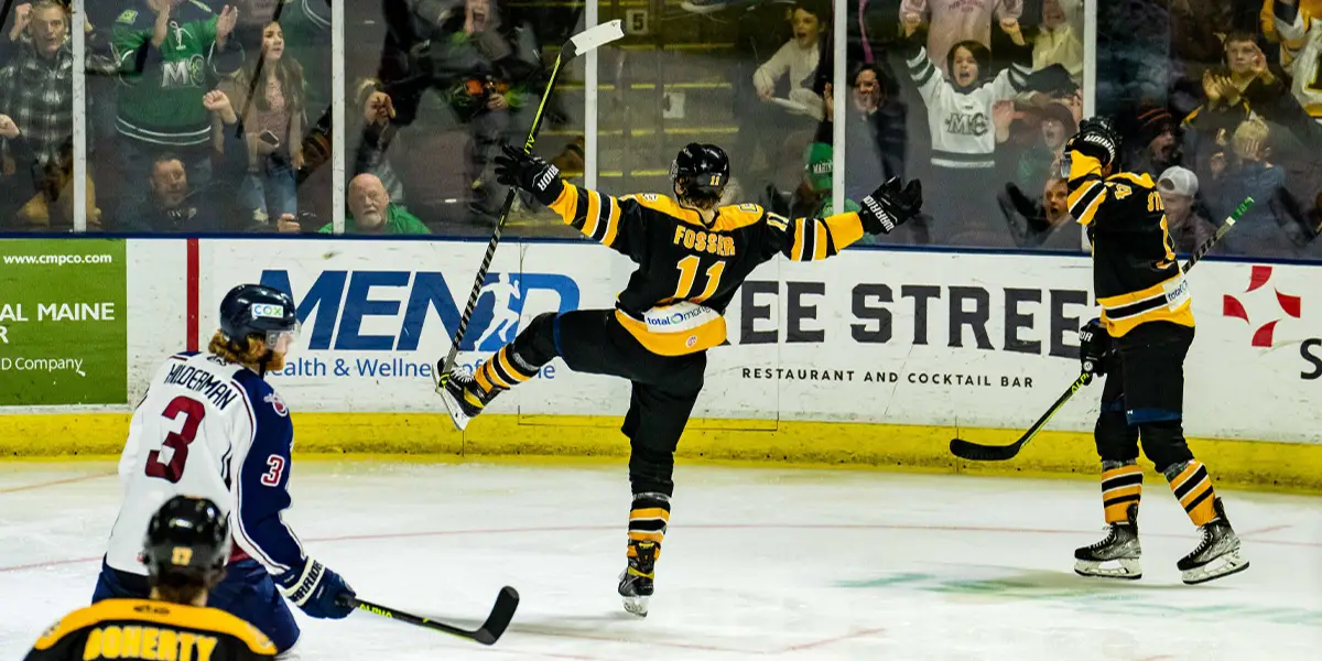 Bruins Announce Affiliation Extension Agreement With Maine Mariners