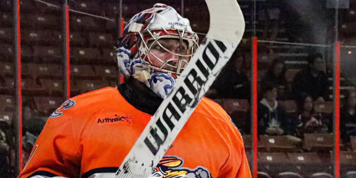 Jacksonville Icemen defeat Greenville Swamp Rabbits in home opener