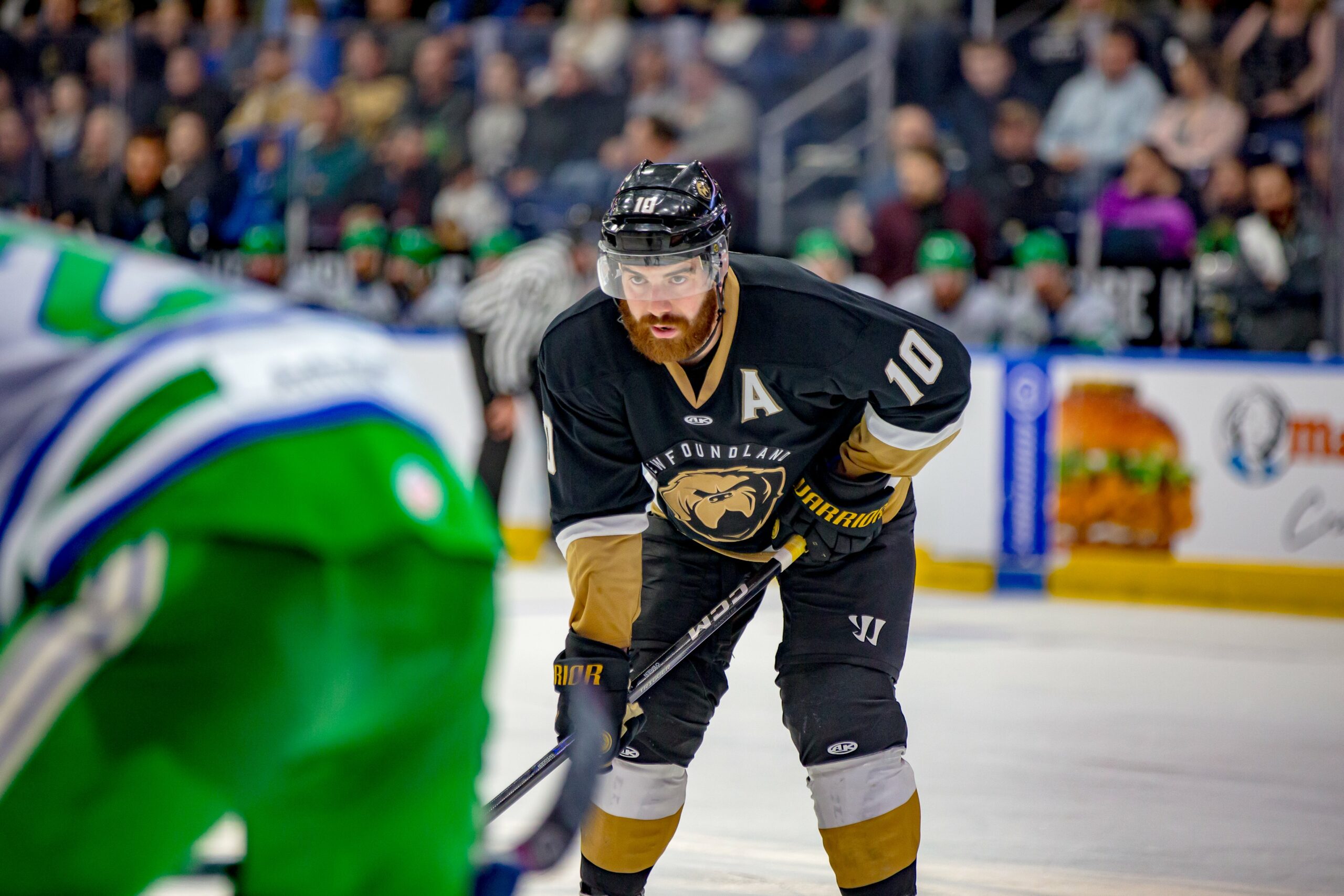 ECHL Florida Everblades Lead Series 32 with a Newfoundland Growlers Game 5 Loss on Home Ice Inside The Rink