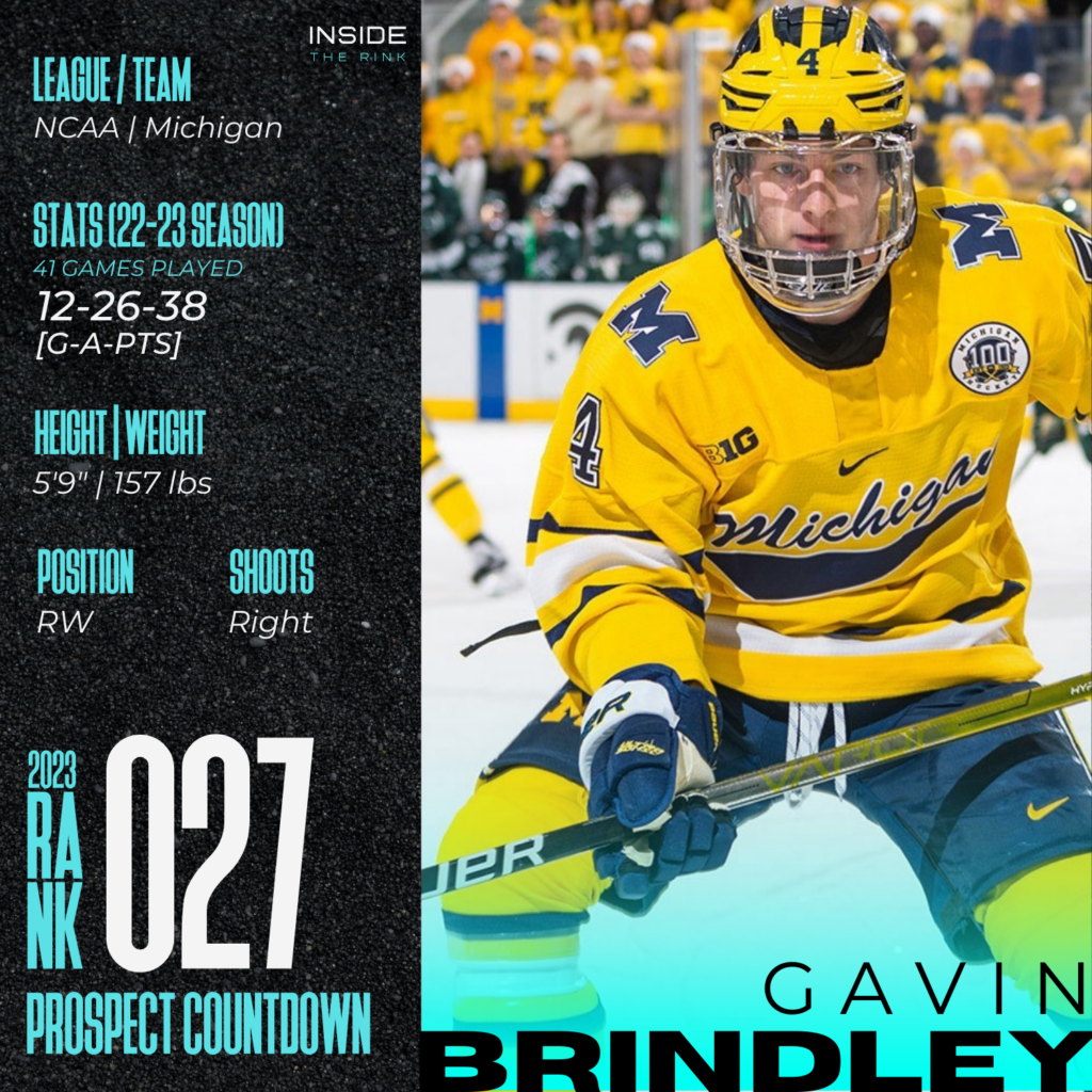 ITR Gavin Brindley Player Profile