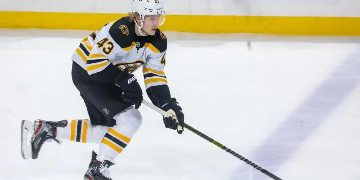 Boston Bruins Agree With Maine Mariners on ECHL Minor-Pro