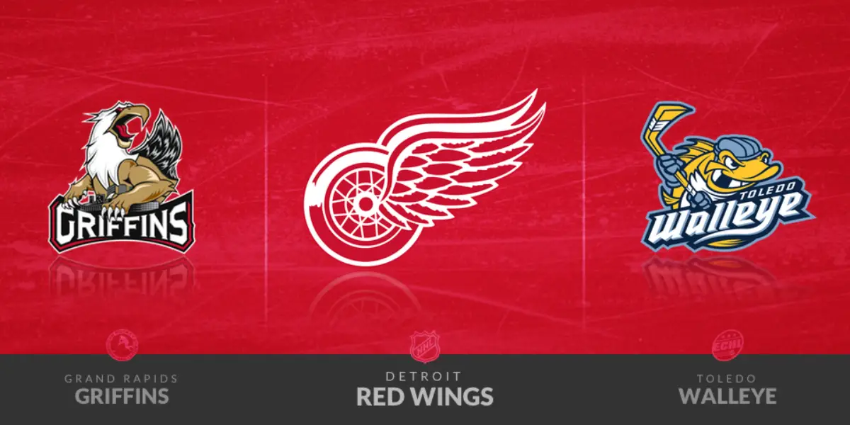 Red Wings Check In