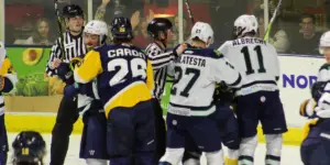 Maine Mariners and Norfolk Admirals getting into an altercation