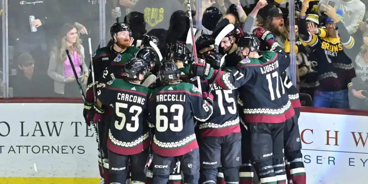 The Arizona Coyotes celebrate after an overtime winner against Boston