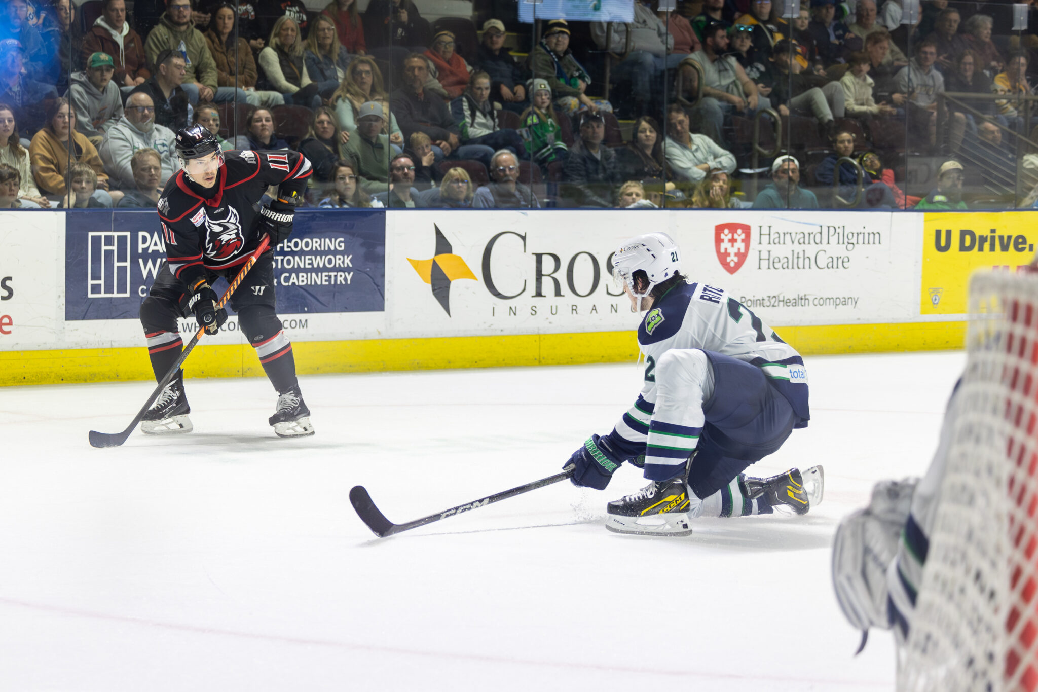 ECHL Playoff Series Recap: Adirondack Thunder Vs Maine Mariners | Round ...