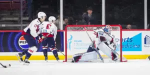 South Carolina Stingrays on the ice