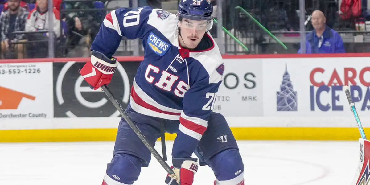 Hershey Bears Call-up Three Forwards From South Carolina