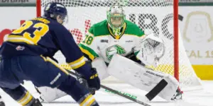 Aleksei Medvedev 2025 Draft Profile