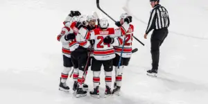 Charlotte Checkers Advance to Calder Cup Playoffs