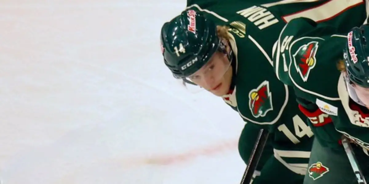 AHL: Hartford Wolf Pack Sign Gavin Hain