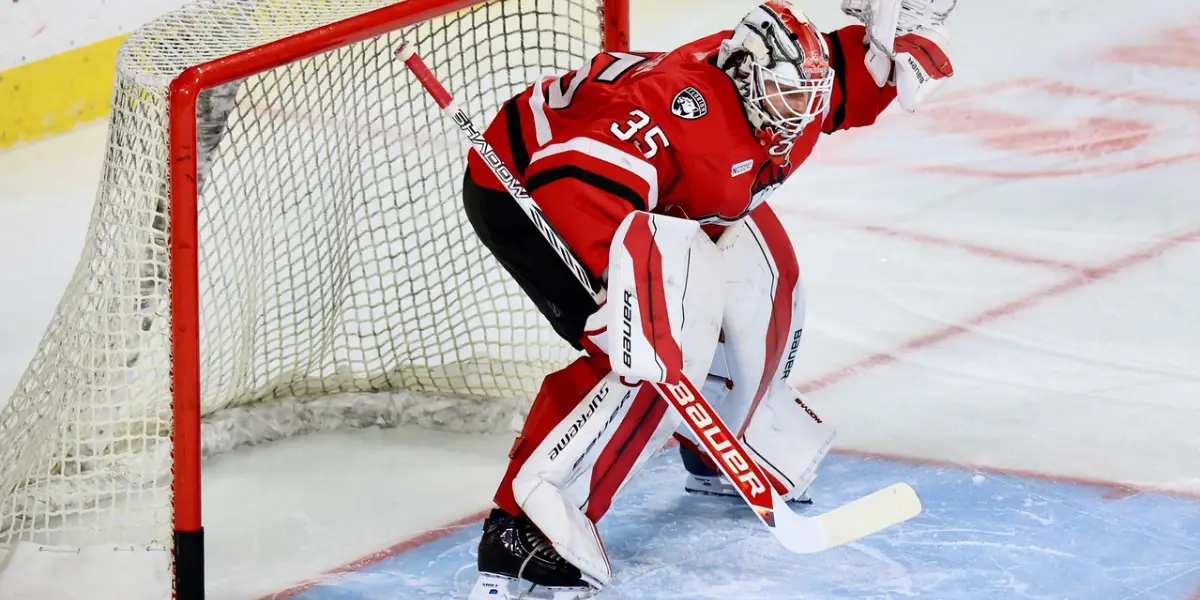AHL: Toronto Marlies Sign A Goalie and Two Forwards