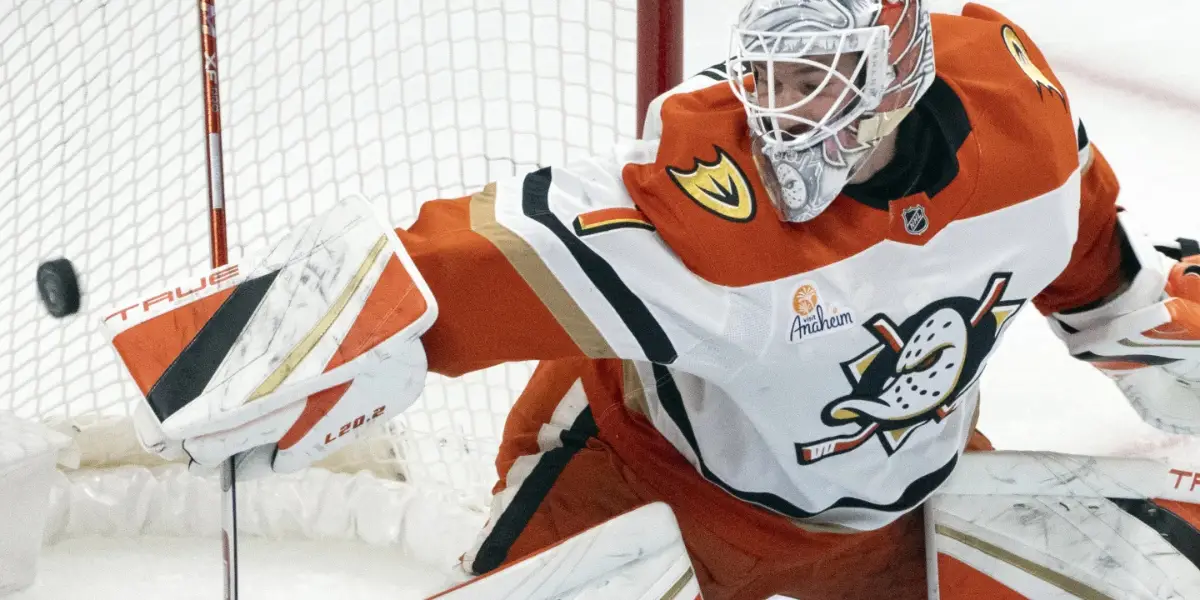 Anaheim Ducks Extend Lukáš Dostál