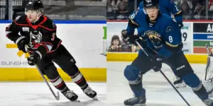 AHL: Cleveland Monsters Bring Back Two Defenseman