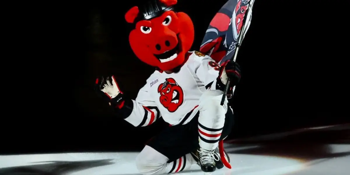 AHL: Rockford IceHogs Sign A Forward & A Defenseman
