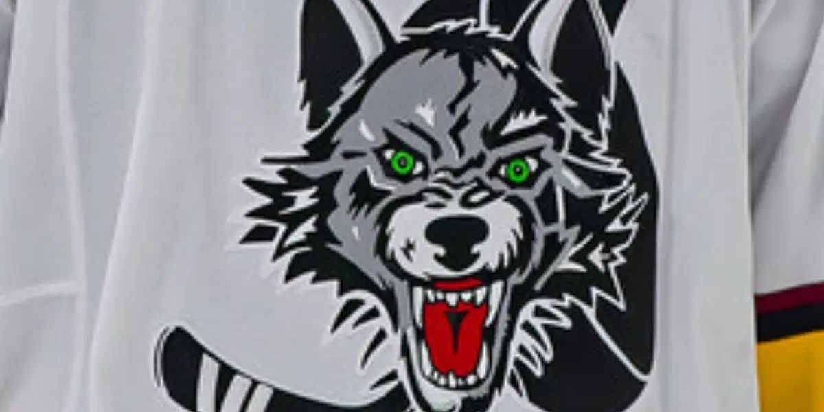 AHL: Chicago Wolves Extend A Forward & Sign A Defenseman